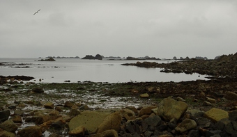 Větší verze po kliknutí. Normandie a Bretaň, srpen-září 2008