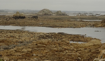Větší verze po kliknutí. Normandie a Bretaň, srpen-září 2008