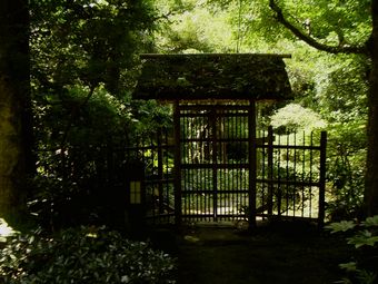 Větší verze po kliknutí. Kamakura, Japonsko (srpen 2010)