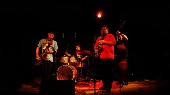 Větší verze po kliknutí. Endangered Blood - Chris Speed, Jim Black, Oscar Noriega & Trevor Dunn (26. listopadu 2011, Ottensheim, Rakousko)
