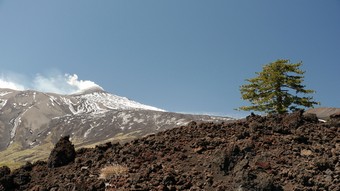 Větší verze po kliknutí. Etna (cestou k Cerniera di fuoco 2002)